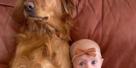 Watch: The sweetest love between a dog and her human baby sister