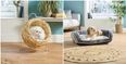 How paw-fect! These eco-friendly pet buys are coming to Aldi next weekend