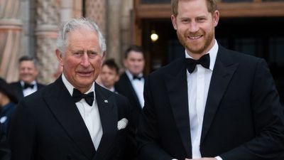 Prince Harry says Charles left him “to suffer” after Diana’s death