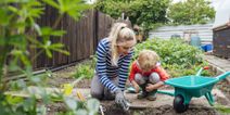 4 reasons why you should get your kids into gardening this summer