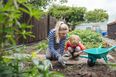 4 reasons why you should get your kids into gardening this summer