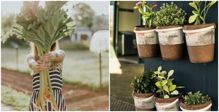 Want to start growing your own vegetables? Join the very first ‘Get Ireland Growing Day’