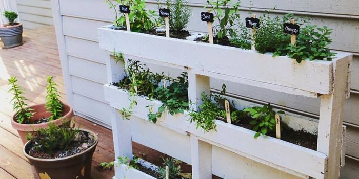 DIY pallet herb garden