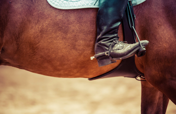 A teenage girl has died in an accident at a Dublin equestrian centre