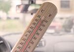 “I blanked out. I killed my babies”: How the brain makes it easy to forget your child in a hot car