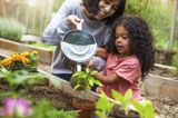 4 amazing benefits of starting a family herb garden