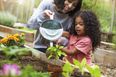 4 amazing benefits of starting a family herb garden