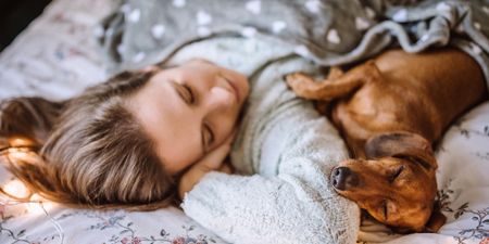 Sharing a bed with your pet is good for your health, science says
