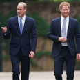 Royal reunion: Harry and William unveil statue of Diana on her 60th birthday