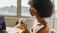 Study finds owners can pass on Covid-19 to cats and dogs