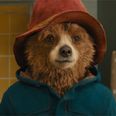 He’s back! Paddington 3 will officially start filming next year, studio confirms