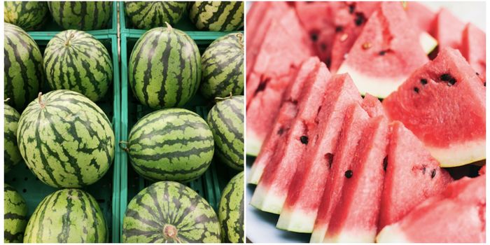 watermelon is great for pregnant women
