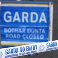 17-year-old girl dies in car accident in Co. Meath