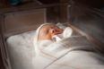 American Medical Association recommends gender be removed from public birth certificates