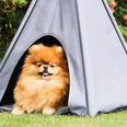 Aldi is selling the cutest outdoor teepee for your dog