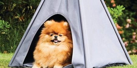 Aldi is selling the cutest outdoor teepee for your dog