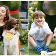There is a fun and educational event for your four-legged friends happening in Dundrum this weekend