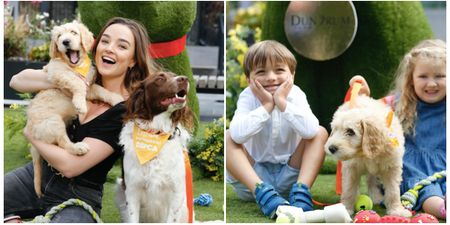 There is a fun and educational event for your four-legged friends happening in Dundrum this weekend