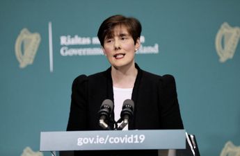 Parents can withdraw children from sex education, Minister Foley says