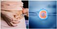 Fertility treatment: New discovery pinpoints ‘golden window’ for IVF success