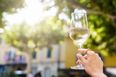 Viral hack shows how to fully chill a bottle of wine in 15 minutes