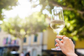 Viral hack shows how to fully chill a bottle of wine in 15 minutes