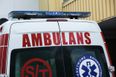 5-year-old Afghan refugee dies in Poland after eating mushrooms