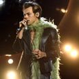 Harry Styles pauses gig to help pregnant fan with gender reveal