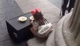 Campaigners’ anger as photo of homeless toddler circulates