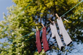 ﻿This mother put ﻿﻿dirty socks in her kids’ lunch bags as punishment – too far?