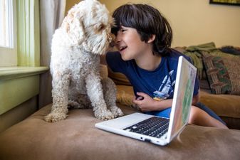 Cork school gets Ireland’s first classroom therapy dog to help ease pupils’ anxiety