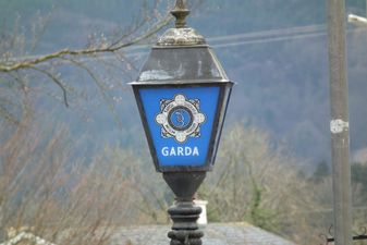 Gardaí launch investigation after second decapitated pet is found in Dublin