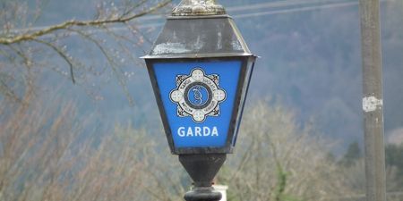 Gardaí investigating attempted abduction of 7-year-old boy