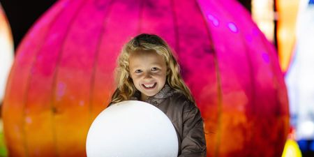 Wild Lights makes highly anticipated return to Dublin Zoo this winter!