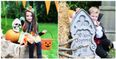 Tayto Park announces new family adventure experience for midterm break