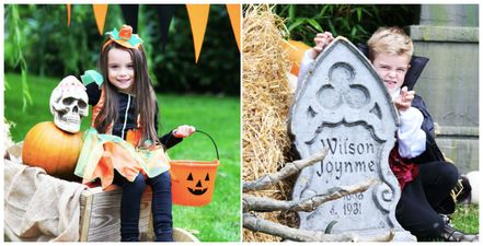 Tayto Park announces new family adventure experience for midterm break