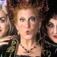 A Hocus Pocus themed brunch is coming to Dublin this October