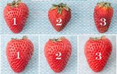 It works! Here’s how to keep berries fresh for weeks