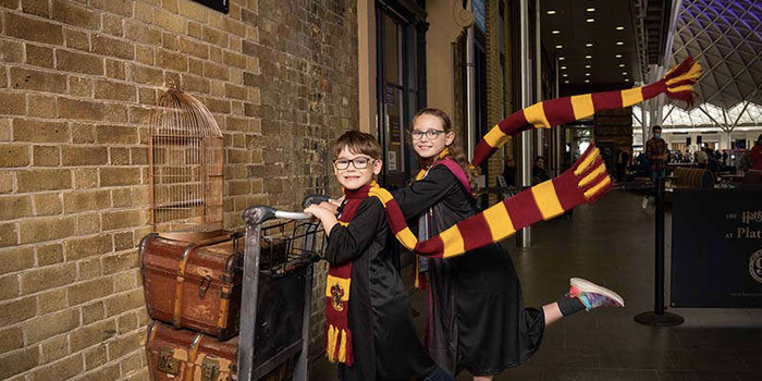 Harry Potter Platform 9 ¾ tour is coming to Dundrum Town Centre