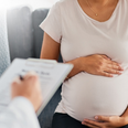 Pregnant women don’t generate high antibody levels after first COVID-19 vaccine