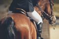 Teacher caught punching and kicking horse has been suspended from school