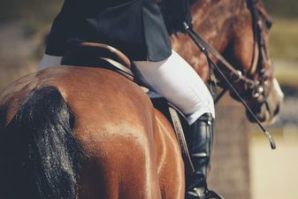 Teacher caught punching and kicking horse has been suspended from school