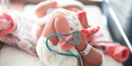 8 ways to help form a bond between preemies and their older siblings
