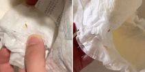 “What the F is this”: Mum claims to have found maggot in unused nappy