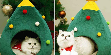 You can now buy a Christmas tree bed for your pet