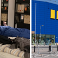 Shoppers have a big sleepover in Ikea after being snowed in