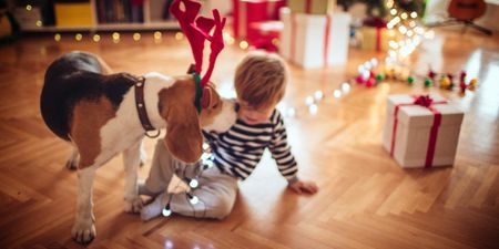 Warning issued to children who have asked Santa for a pet this Christmas