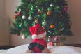 Mum issues warning to parents after bauble explodes in baby’s mouth