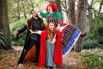 The Helix announce special online Christmas Panto ‘Red Riding Hood’