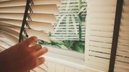 My neighbour keeps spying into my house, what should I do?